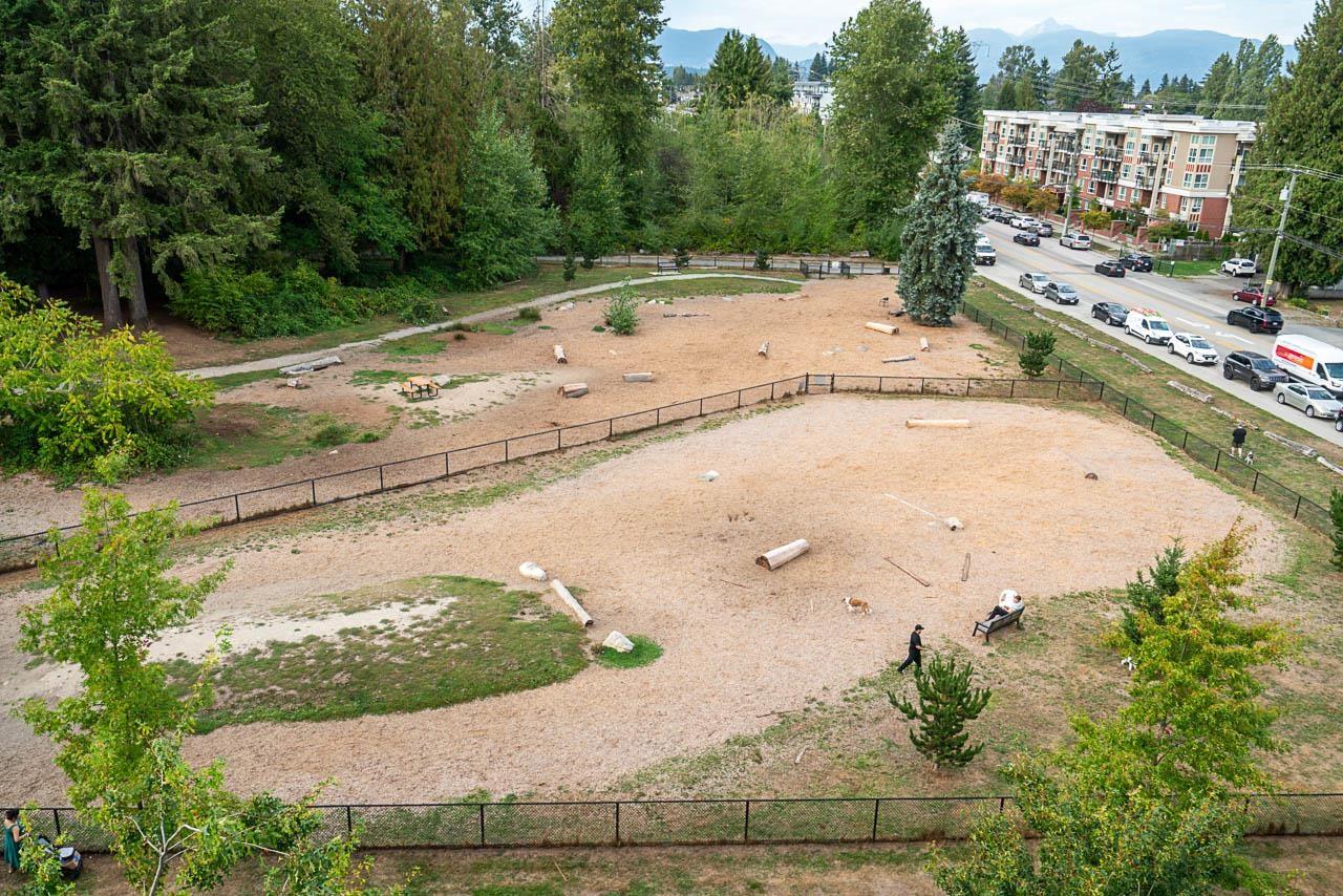 603 10603 140 Street, Surrey, British Columbia  V3T 0M8 - Photo 31 - R3165901