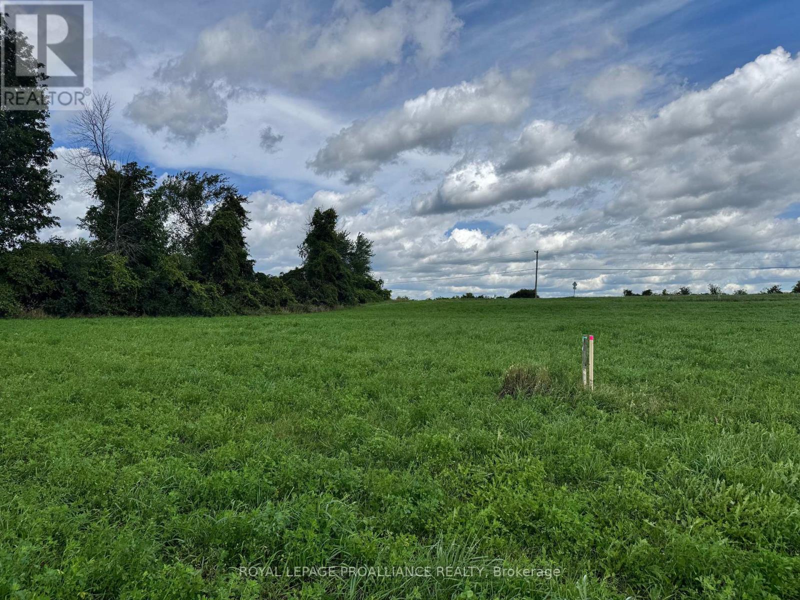 Lot 2 County Road 18 Road, Augusta, Ontario K0E 1X0 - Photo 6 - X13764476