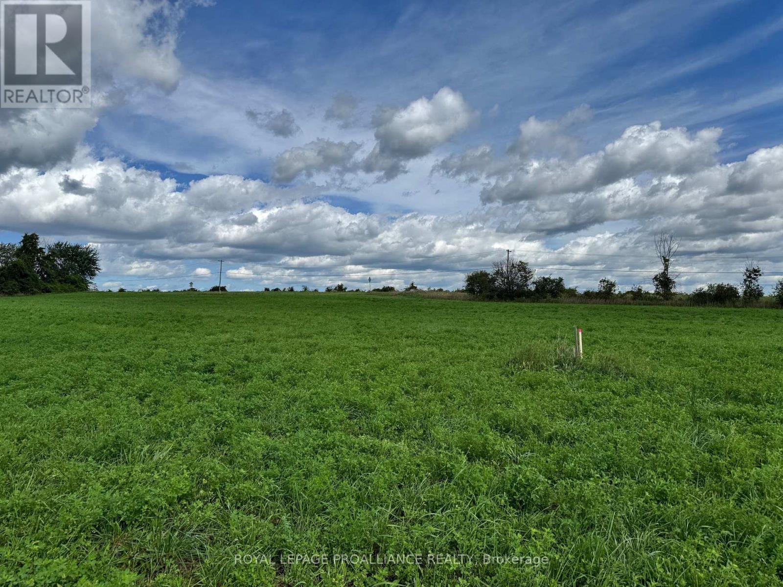 Lot 3 County Road 18 Road, Augusta, Ontario  K0E 1X0 - Photo 9 - X13764480