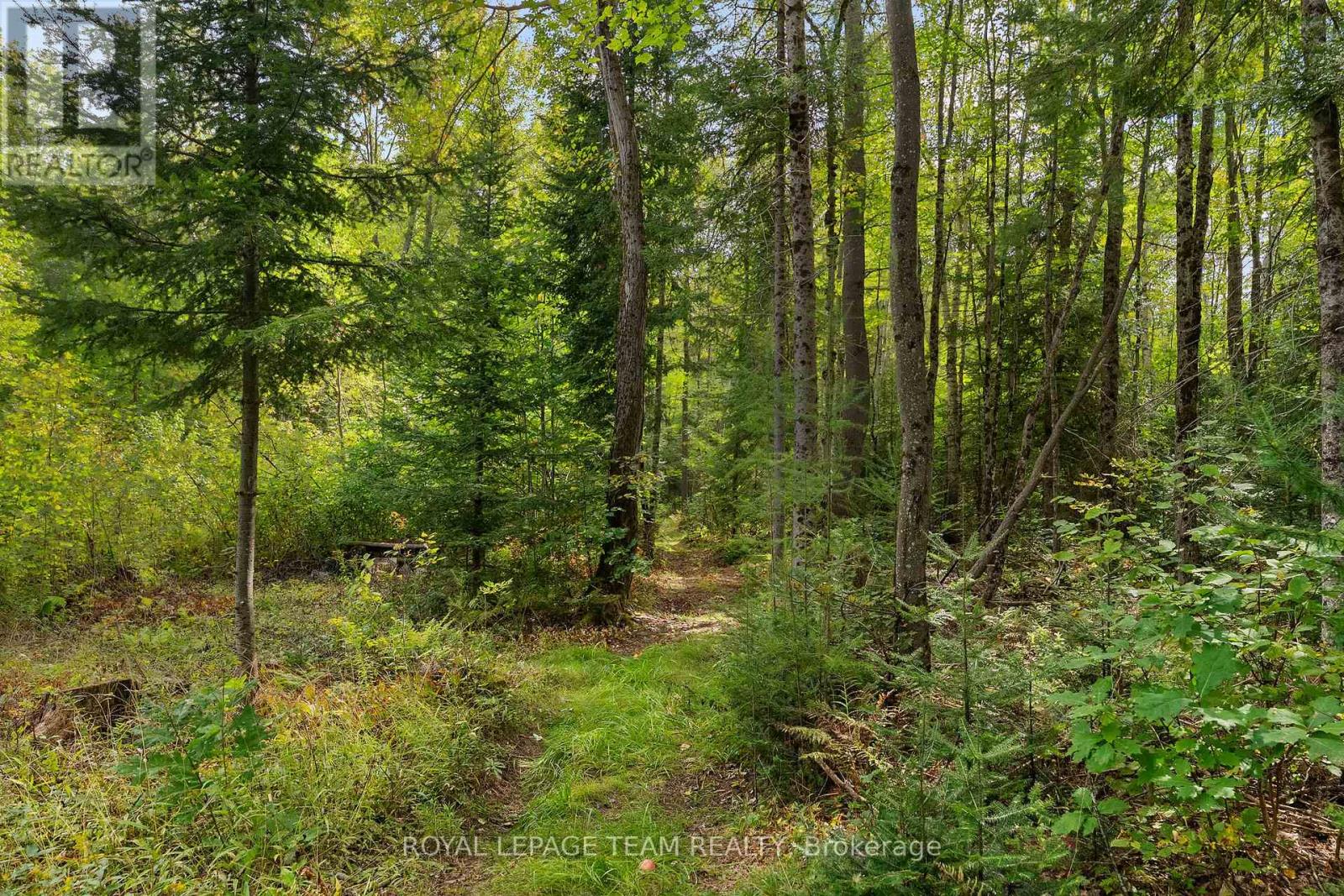 484 Wylie Road, Laurentian Hills, Ontario K0J 1P0 - Photo 44 - X13725328