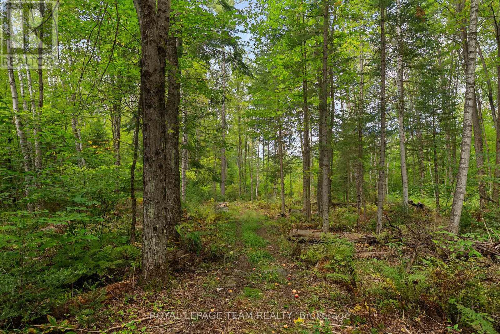 484 Wylie Road, Laurentian Hills, Ontario K0J 1P0 - Photo 45 - X13725328