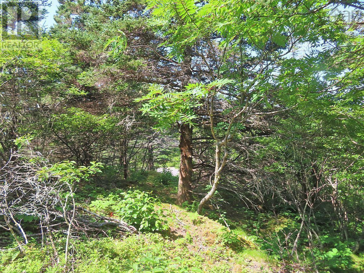 picture 41