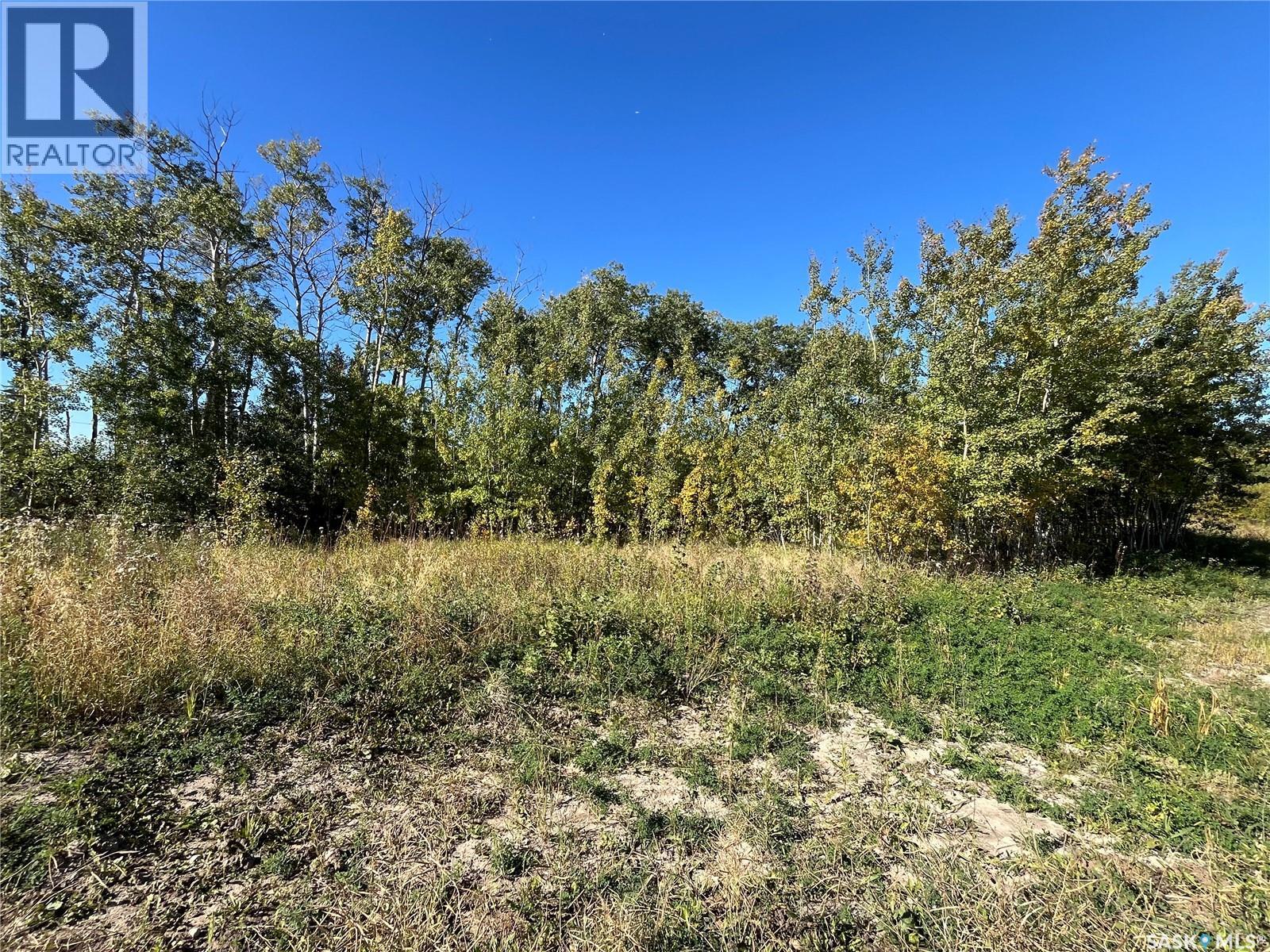 Lot 2 Bl13 Shoreline Drive, Fishing Lake, Saskatchewan  S0A 1Y0 - Photo 11 - SK048518