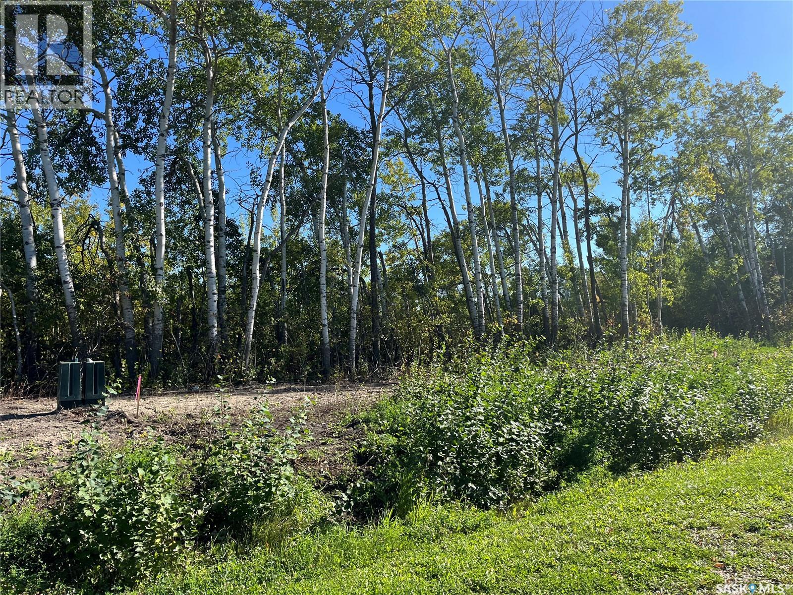 Lot 2 Bl13 Shoreline Drive, Fishing Lake, Saskatchewan  S0A 1Y0 - Photo 7 - SK048518