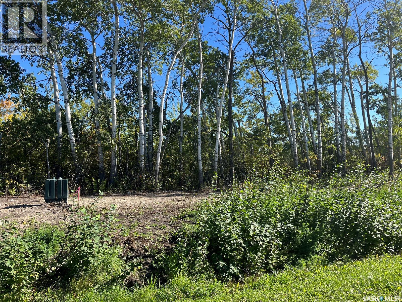 Lot 2 Bl13 Shoreline Drive, Fishing Lake, Saskatchewan  S0A 1Y0 - Photo 8 - SK048518