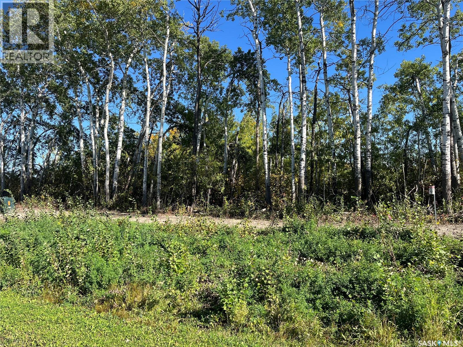 Lot 2 Bl13 Shoreline Drive, Fishing Lake, Saskatchewan  S0A 1Y0 - Photo 9 - SK048518