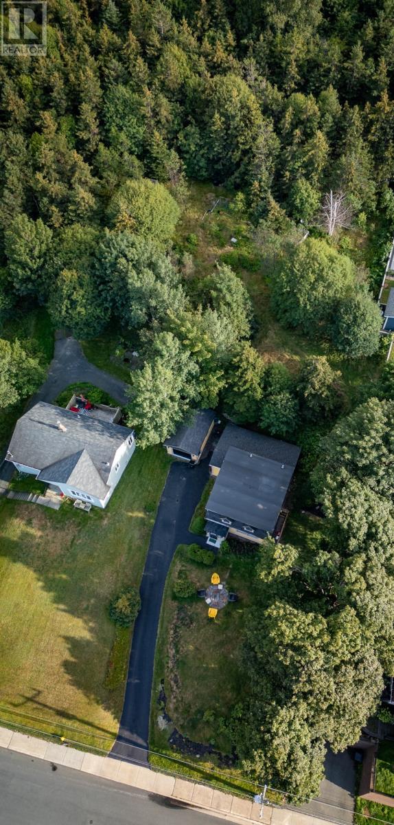 184 Forest Road, St. John's — photo 24