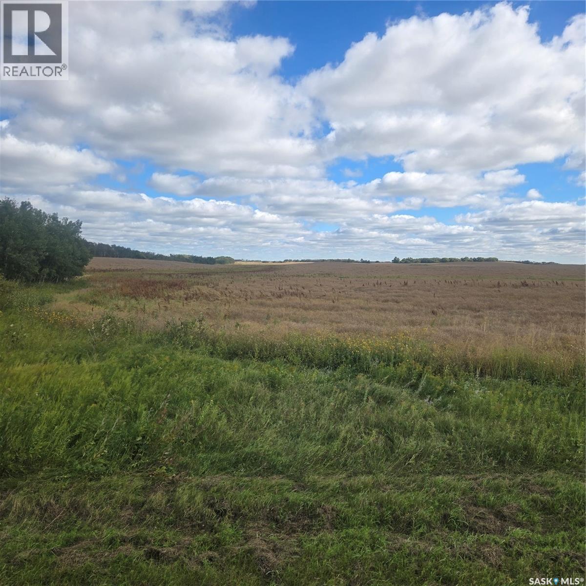 Rm214 - Collins, Cana Rm No. 214, Saskatchewan  S0A 2P0 - Photo 10 - SK048556