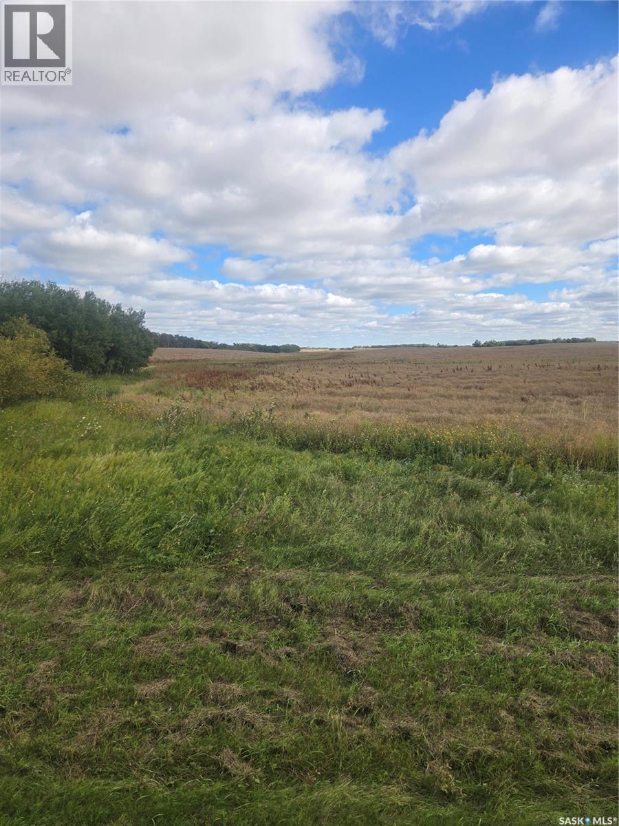 Rm214 - Collins, Cana Rm No. 214, Saskatchewan  S0A 2P0 - Photo 13 - SK048556