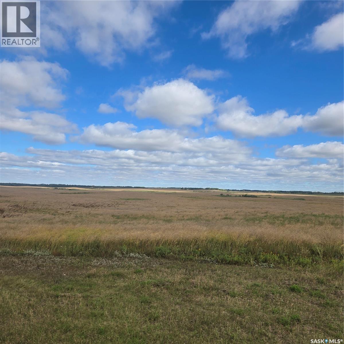 Rm214 - Collins, Cana Rm No. 214, Saskatchewan  S0A 2P0 - Photo 4 - SK048556