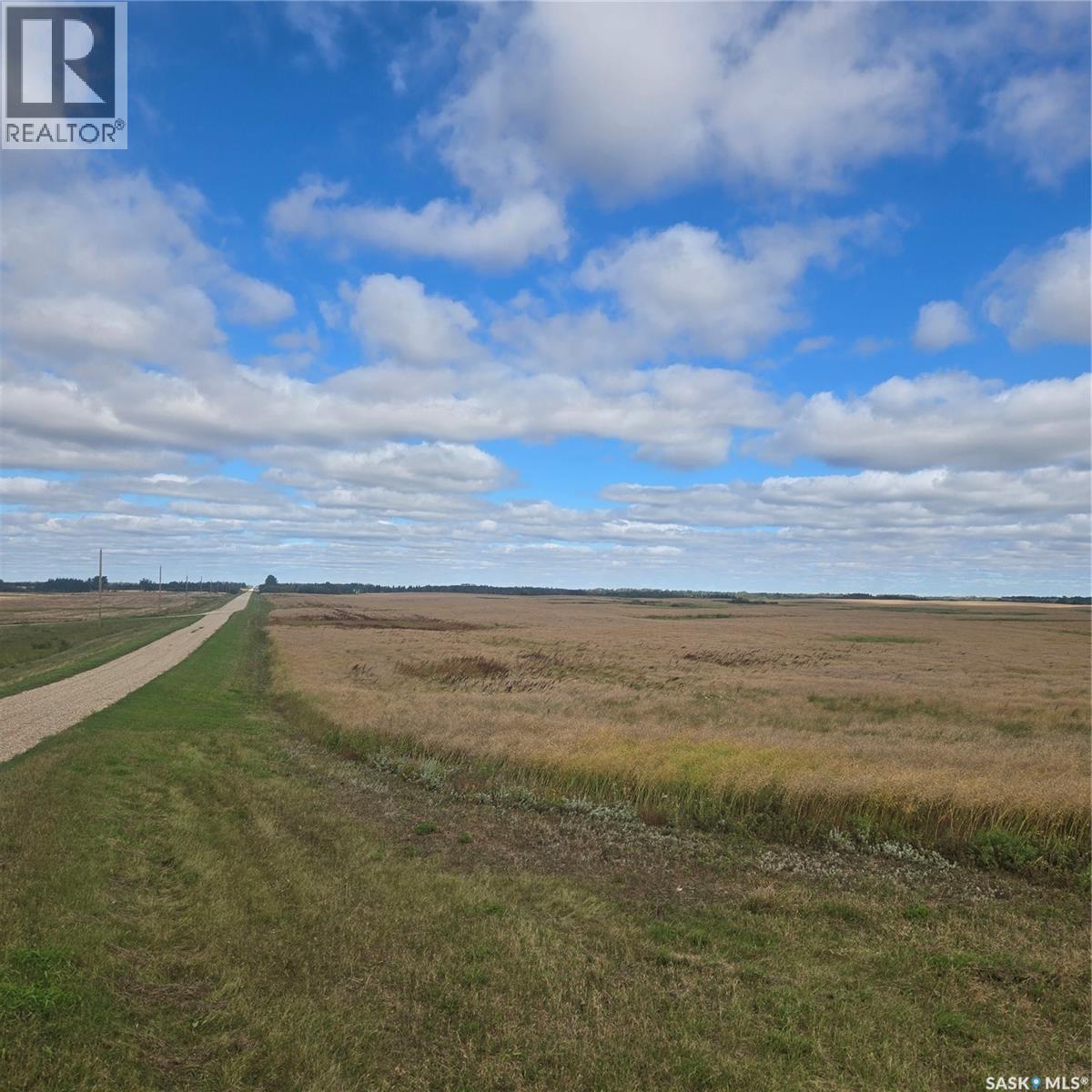 Rm214 - Collins, Cana Rm No. 214, Saskatchewan  S0A 2P0 - Photo 8 - SK048556