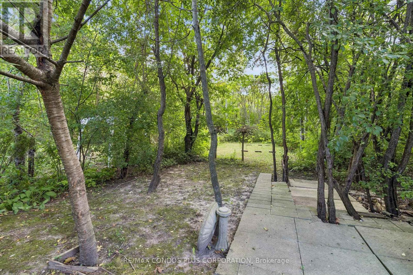 41 Maroon Drive, Richmond Hill, Ontario  L4E 5B4 - Photo 43 - N13788892
