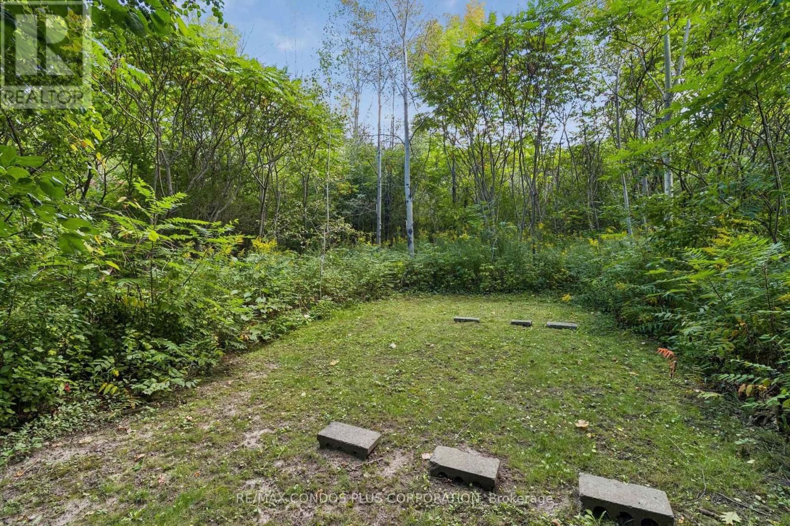 41 Maroon Drive, Richmond Hill, Ontario  L4E 5B4 - Photo 45 - N13788892