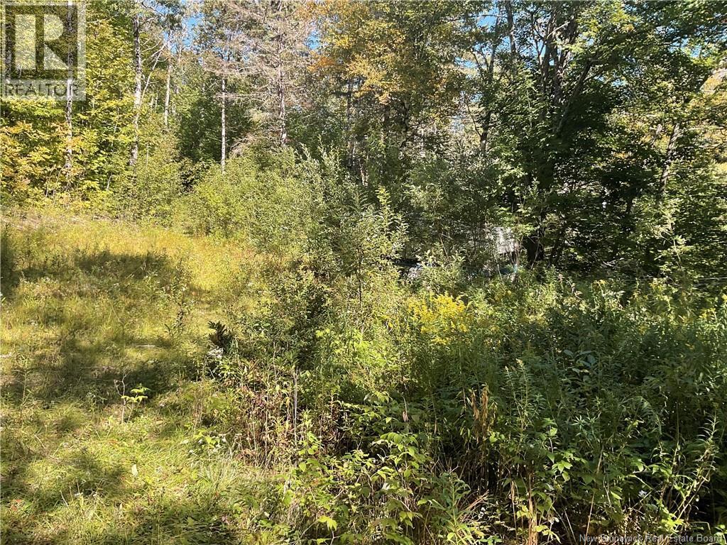 449 Harriet Oree Road, Waterford, New Brunswick  E4E 0H2 - Photo 3 - NB147779