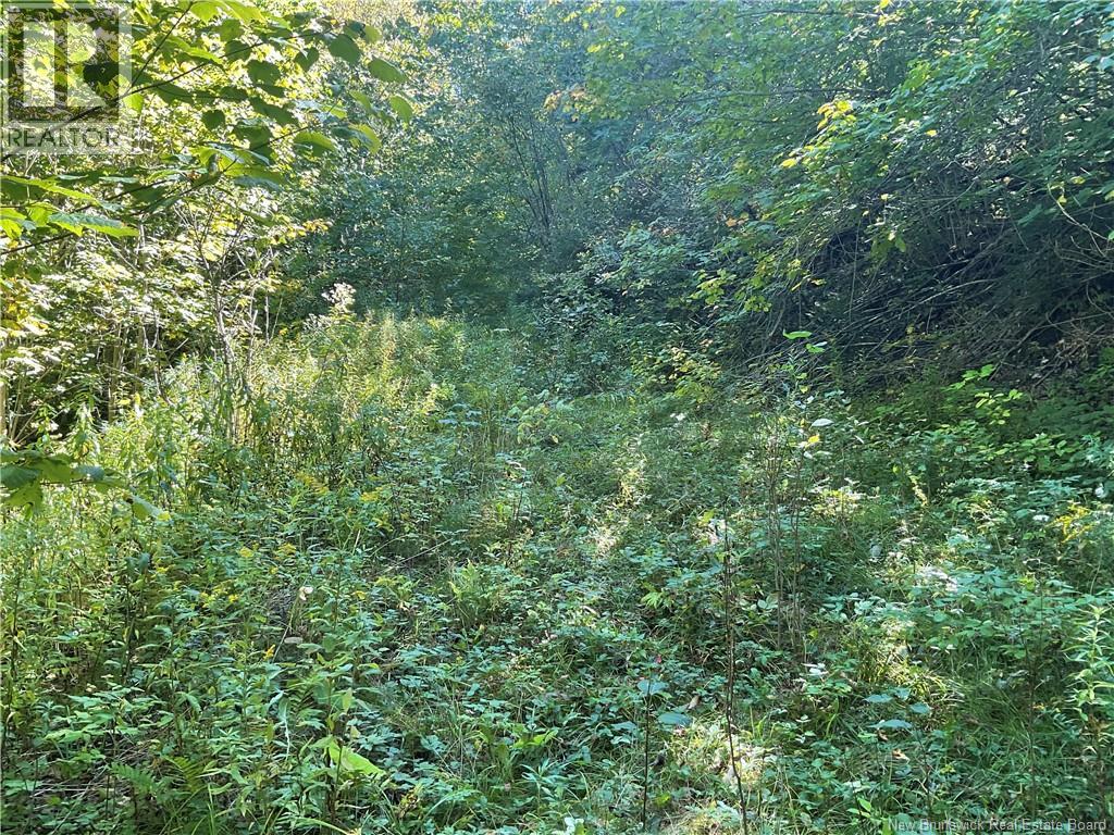 449 Harriet Oree Road, Waterford, New Brunswick  E4E 0H2 - Photo 10 - NB147779
