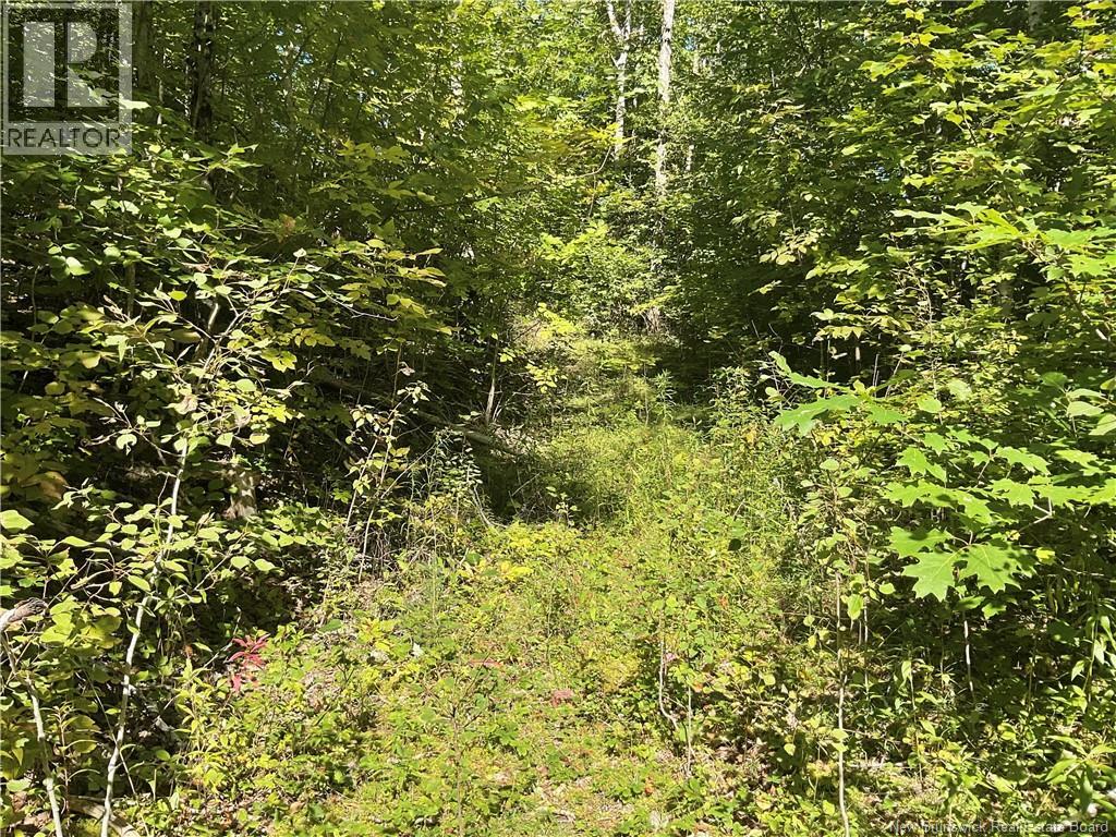 449 Harriet Oree Road, Waterford, New Brunswick  E4E 0H2 - Photo 11 - NB147779