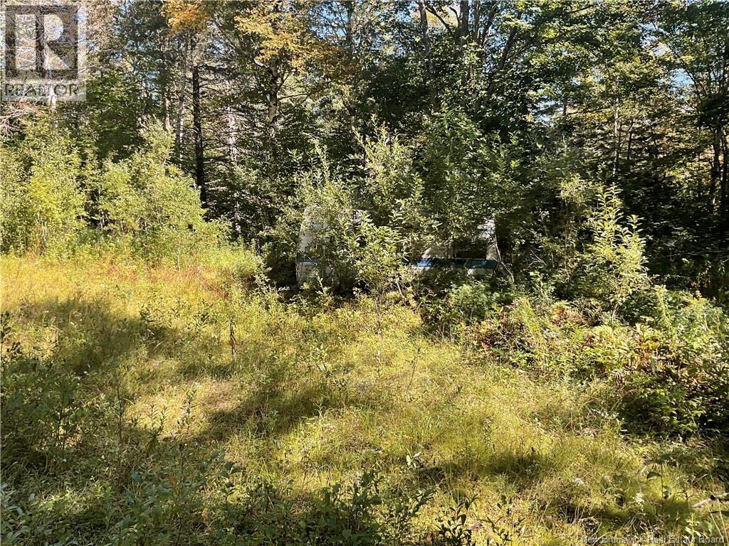 449 Harriet Oree Road, Waterford, New Brunswick  E4E 0H2 - Photo 9 - NB147779