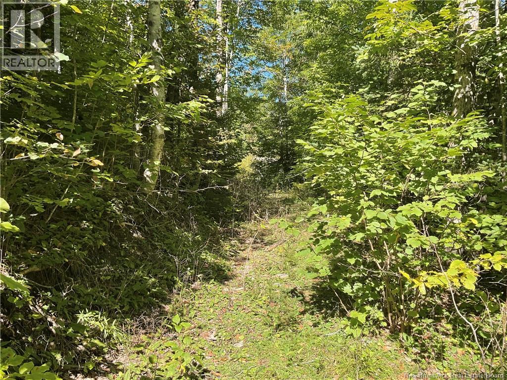 449 Harriet Oree Road, Waterford, New Brunswick  E4E 0H2 - Photo 8 - NB147779