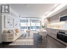 710 - 38 WIDMER STREET, Toronto, Ontario