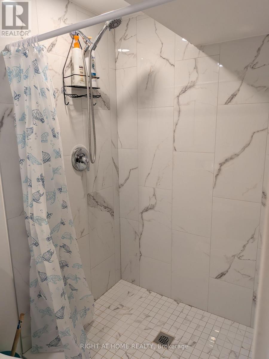47 Roywood Drive, Toronto, Ontario  M3A 2C8 - Photo 37 - C13765310