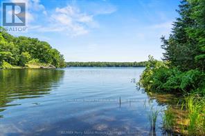 0 Crown Retreats Part 2 Road, Whitestone, Ontario  P0A 1G0 - Photo 11 - X13789134