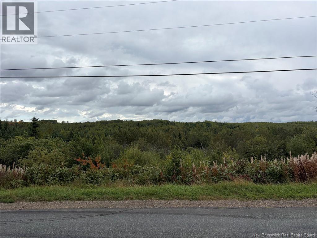 Vacant Land St Maure, Saint-Maure, New Brunswick  E8E 1M9 - Photo 4 - NB147335