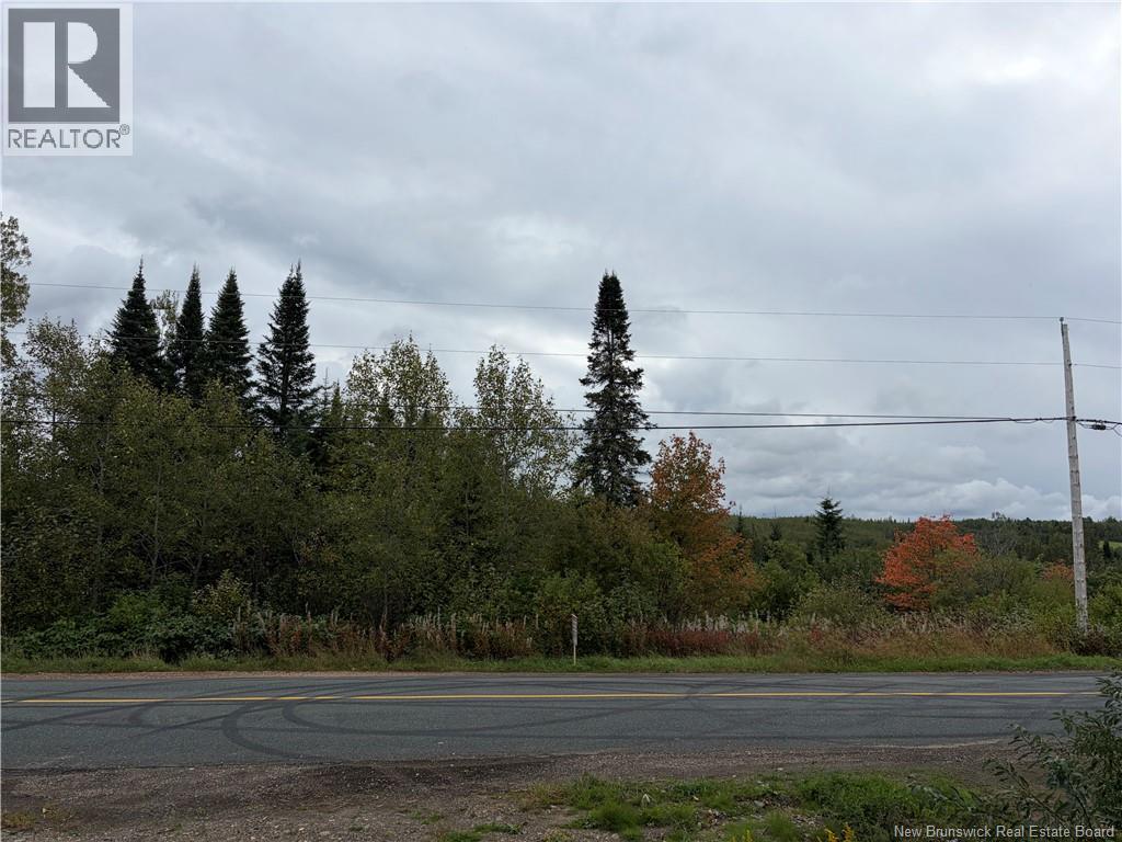 Vacant Land St Maure, Saint-Maure, New Brunswick  E8E 1M9 - Photo 5 - NB147335