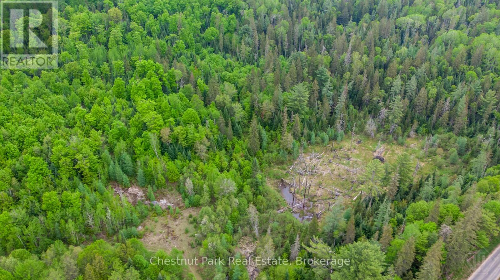310 Super Sign Road, Perry, Ontario  P0A 1J0 - Photo 10 - X13575752