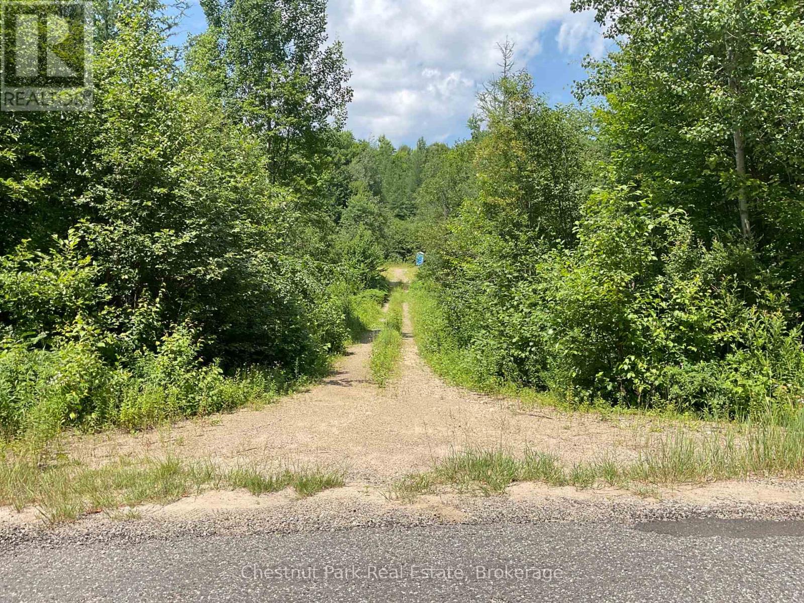 310 Super Sign Road, Perry, Ontario  P0A 1J0 - Photo 4 - X13575752