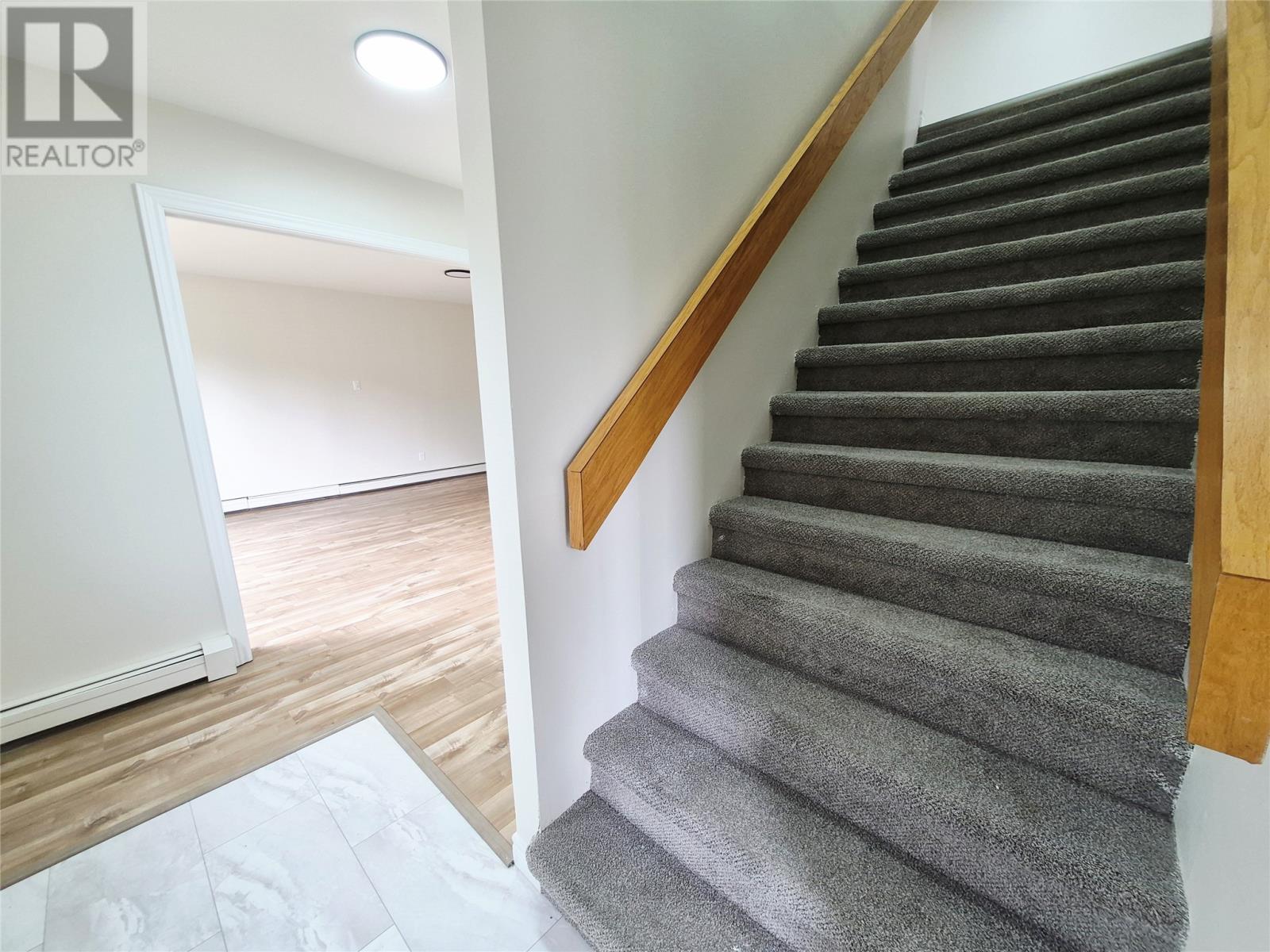 20 Dorset Street, St. John's — photo 16