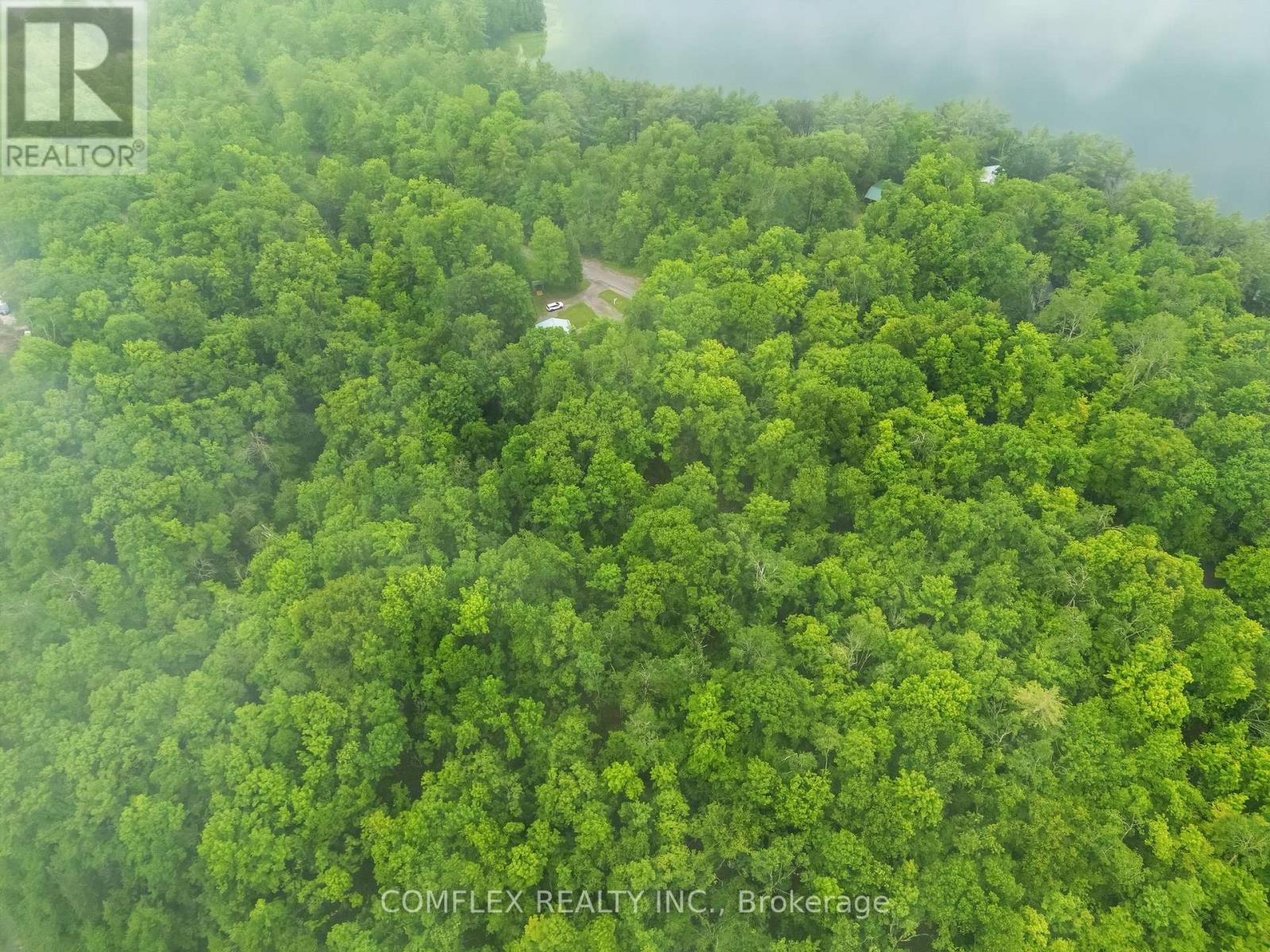 1354 Clear Lake Road, Minden Hills, Ontario  K0M 2L1 - Photo 7 - X13789596