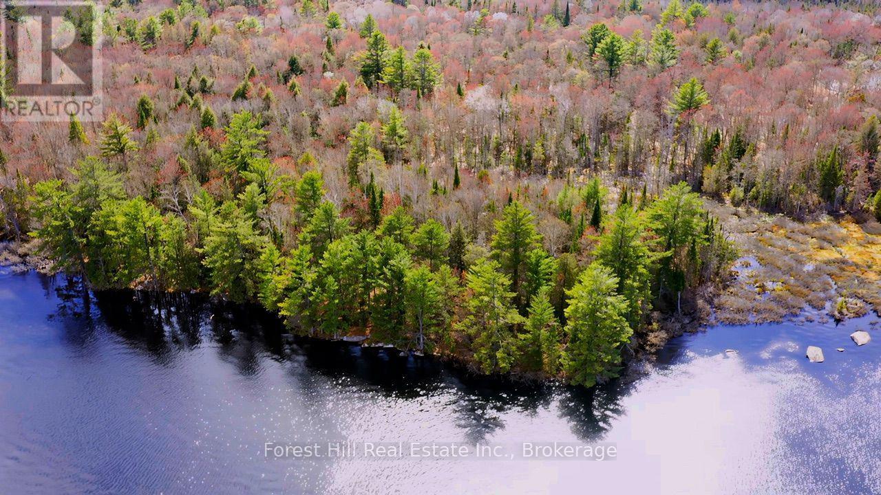 335 Woodland Drive, Mcmurrich/monteith (Mcmurrich), Ontario P0P 1B0 - Photo 6 - X13780234