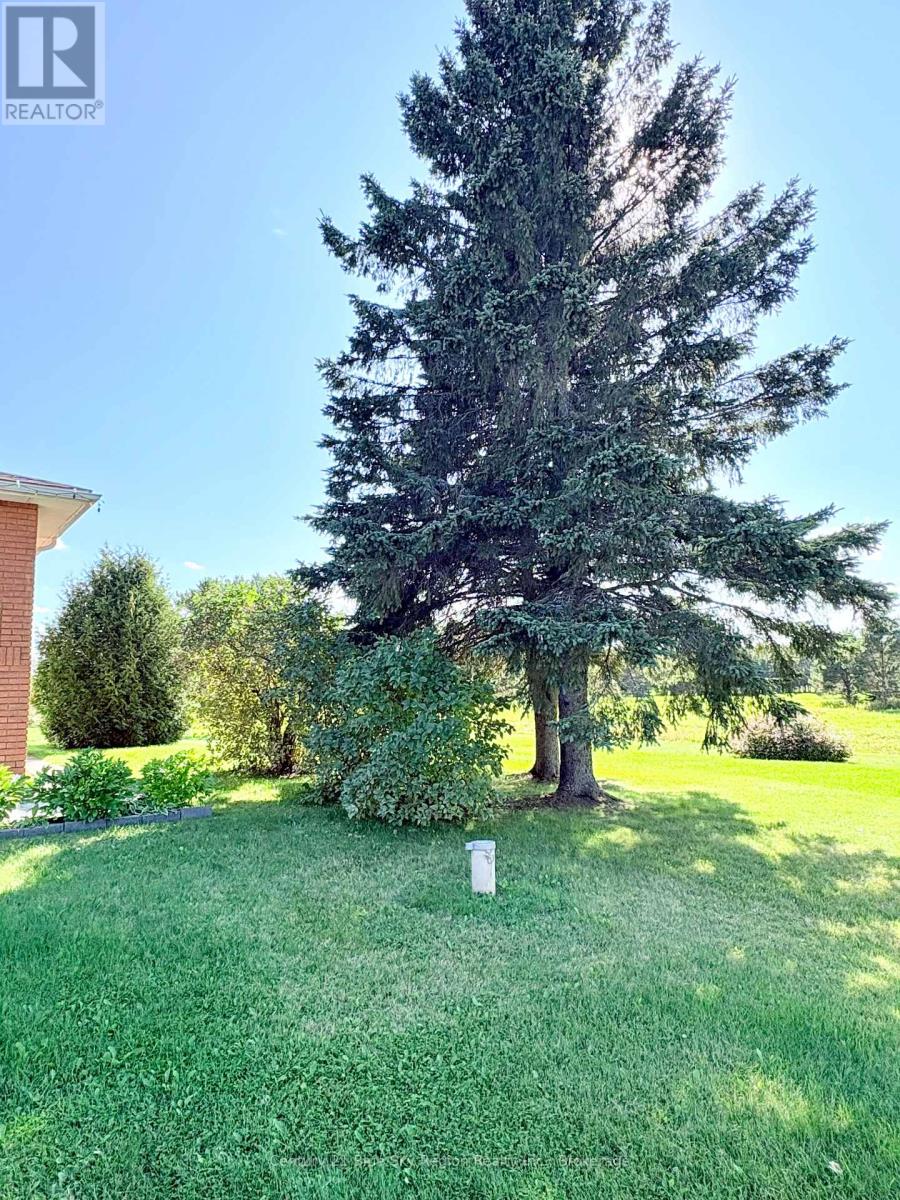 448 Salter Street, West Nipissing, Ontario  P2B 2T4 - Photo 30 - X13790114