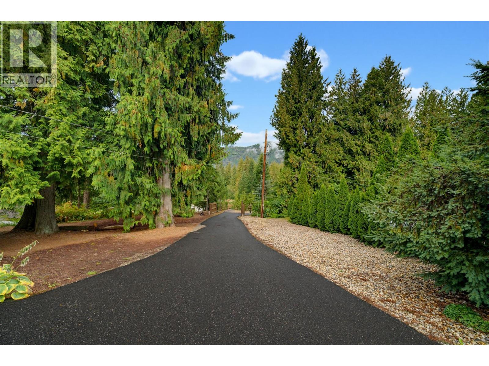7787 97a Highway, Mara, British Columbia  V0E 2K0 - Photo 13 - 10400969