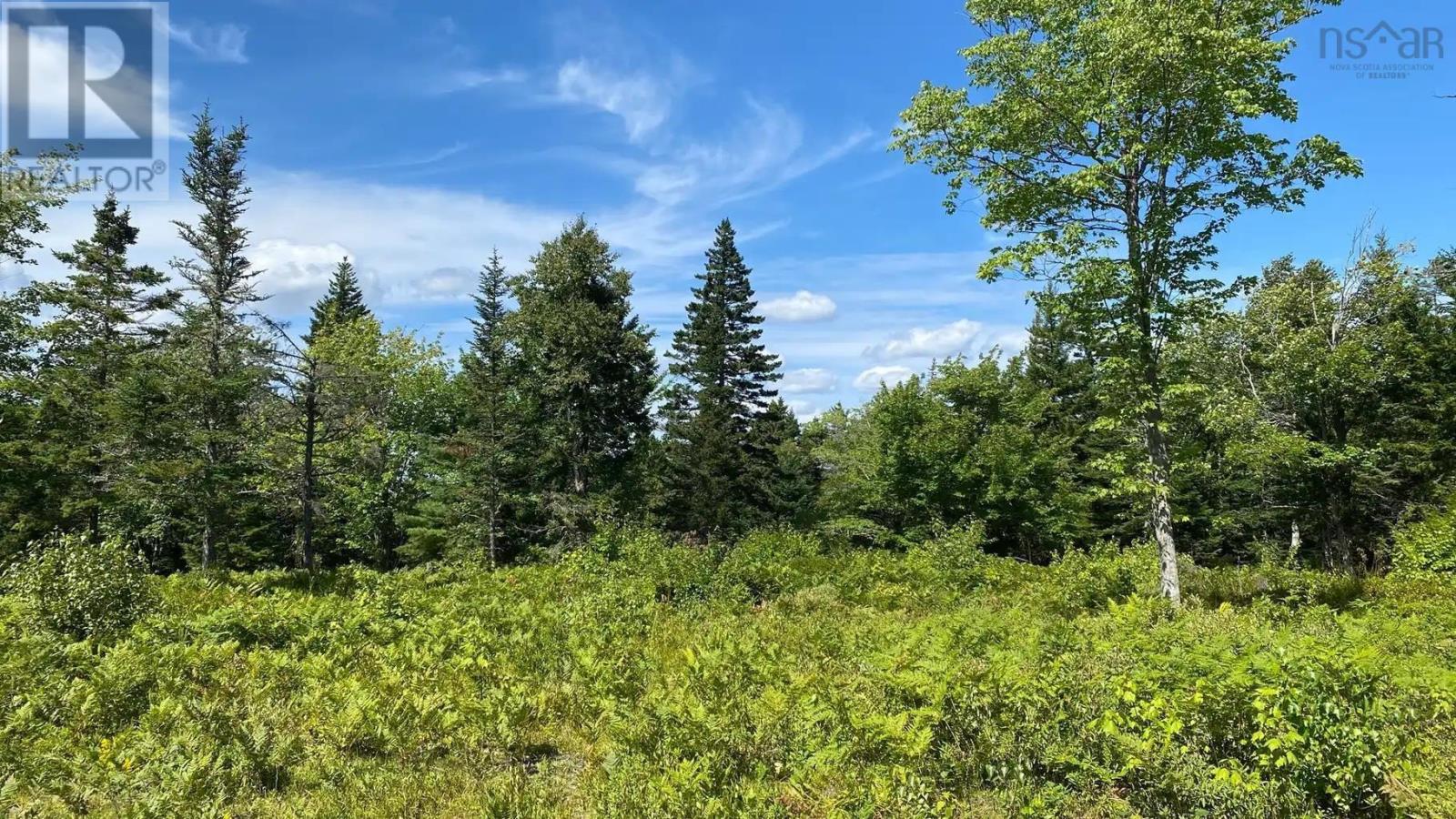 Lot Ar Fishpeddlers Road, Indian Path, Nova Scotia  B0J 2X0 - Photo 5 - 202623463