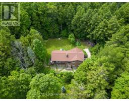19246 WARDEN AVENUE, East Gwillimbury, Ontario