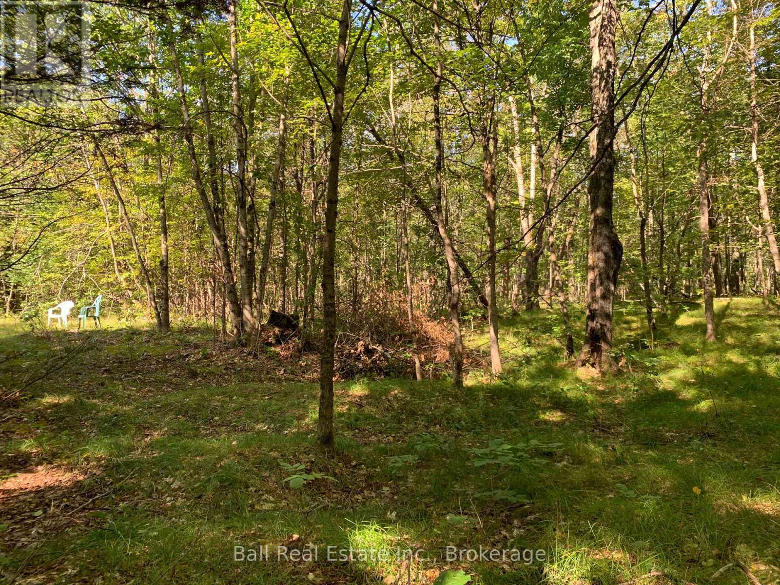 0 Old Hastings Road, Wollaston, Ontario  K0L 1P0 - Photo 15 - X13781864