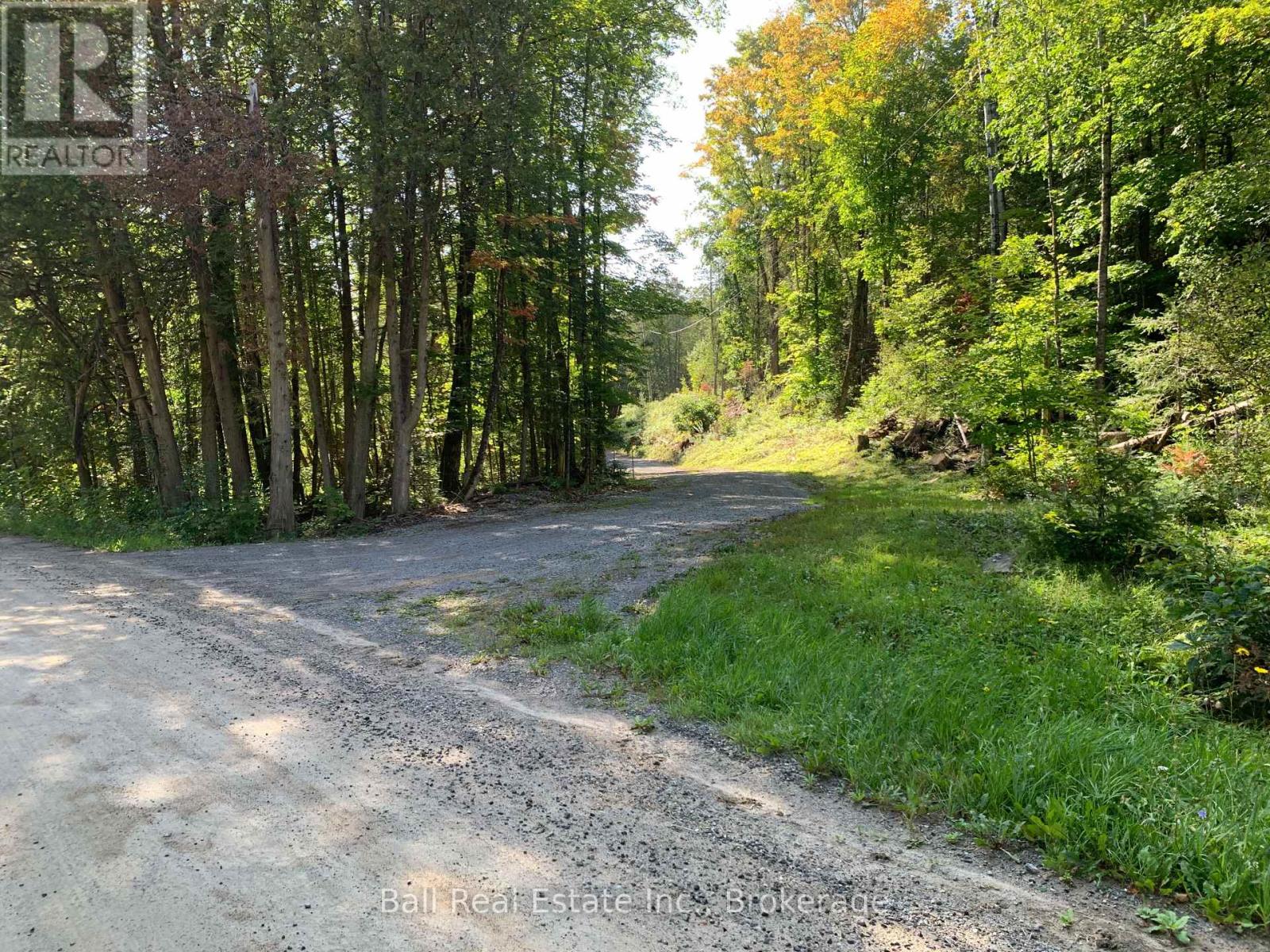 0 Old Hastings Road, Wollaston, Ontario  K0L 1P0 - Photo 3 - X13781864