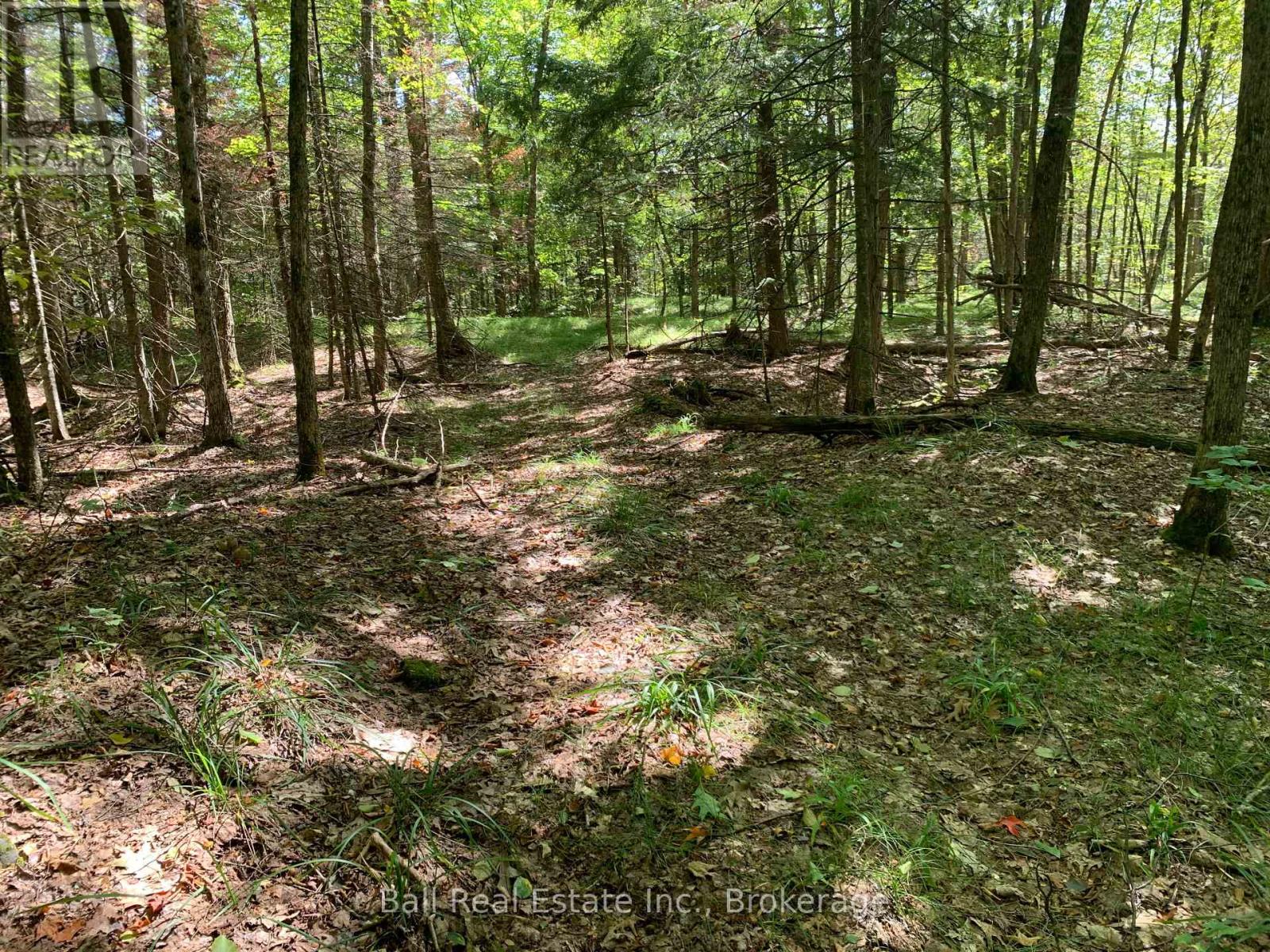 0 Old Hastings Road, Wollaston, Ontario  K0L 1P0 - Photo 18 - X13781864