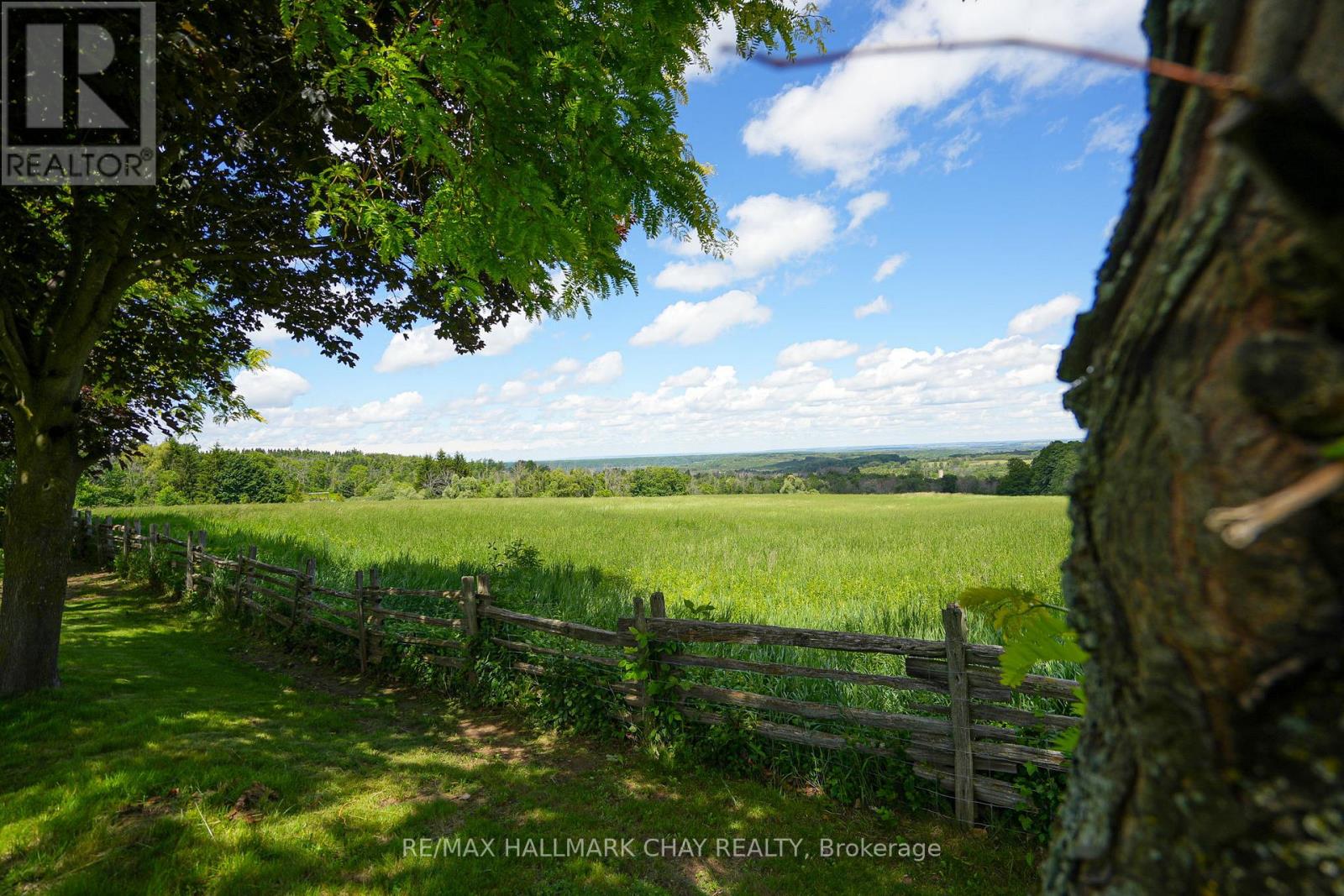 877065 Fifth Line, Mulmur, Ontario  L9V 0K3 - Photo 48 - X13790332
