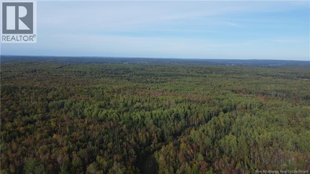 Lot Donnelly Settlement Road, Prince William, New Brunswick