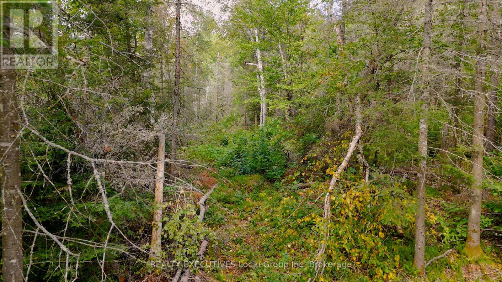 2275 Widdifield Station Road, North Bay, Ontario  P1B 8G2 - Photo 6 - X13790660