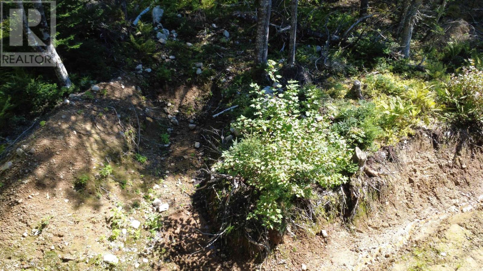 picture 37