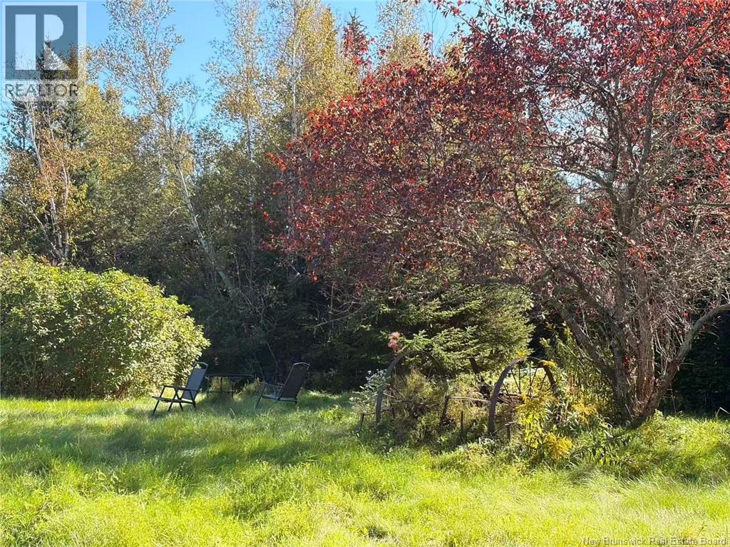 266 Murray Road, Little Shemogue, New Brunswick  E4M 3P3 - Photo 15 - NB146088