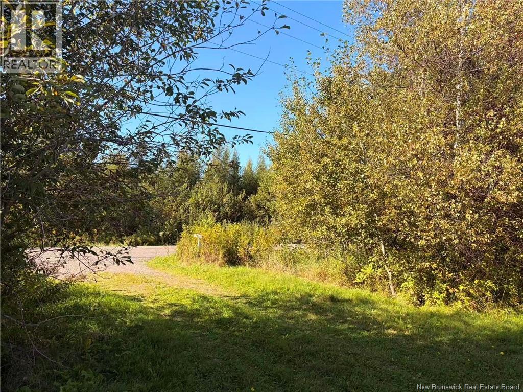 266 Murray Road, Little Shemogue, New Brunswick  E4M 3P3 - Photo 14 - NB146088