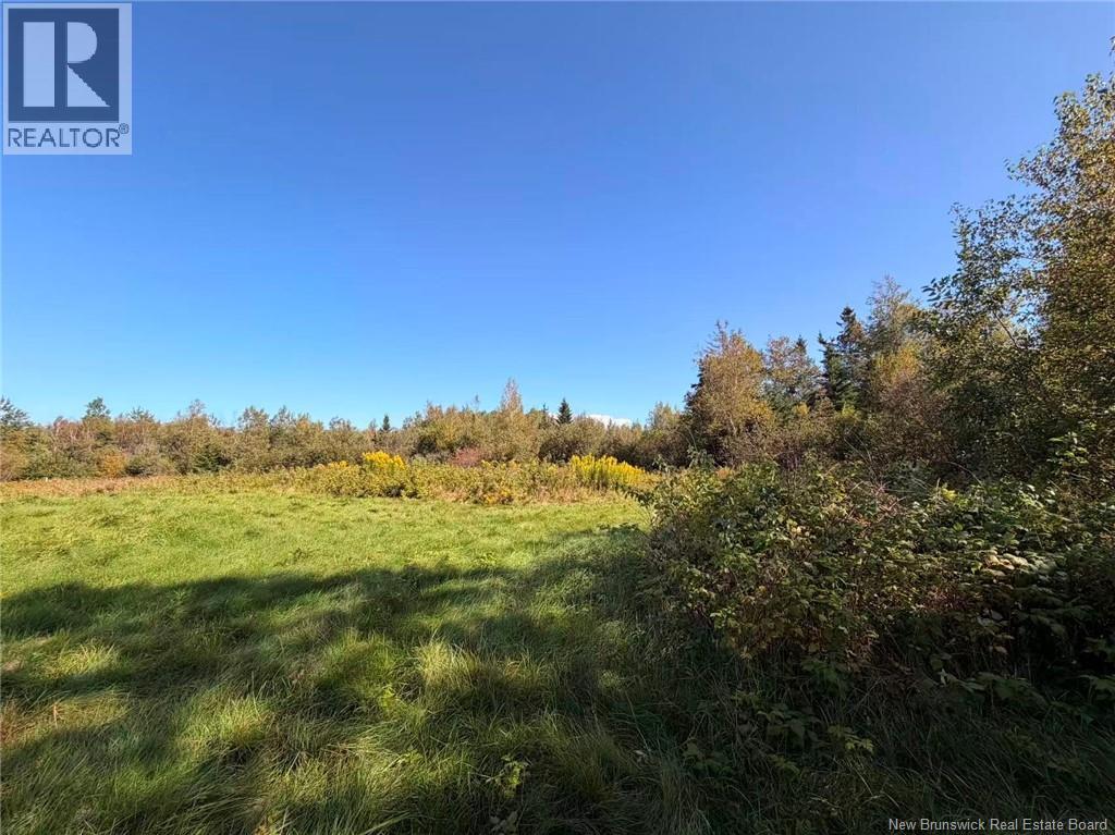266 Murray Road, Little Shemogue, New Brunswick  E4M 3P3 - Photo 18 - NB146088