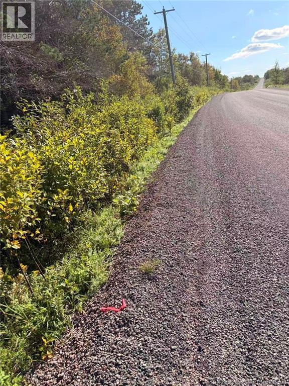 266 Murray Road, Little Shemogue, New Brunswick  E4M 3P3 - Photo 10 - NB146088