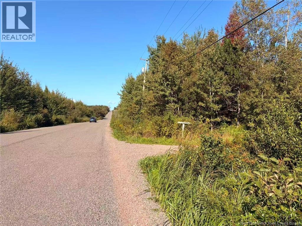 266 Murray Road, Little Shemogue, New Brunswick  E4M 3P3 - Photo 26 - NB146088
