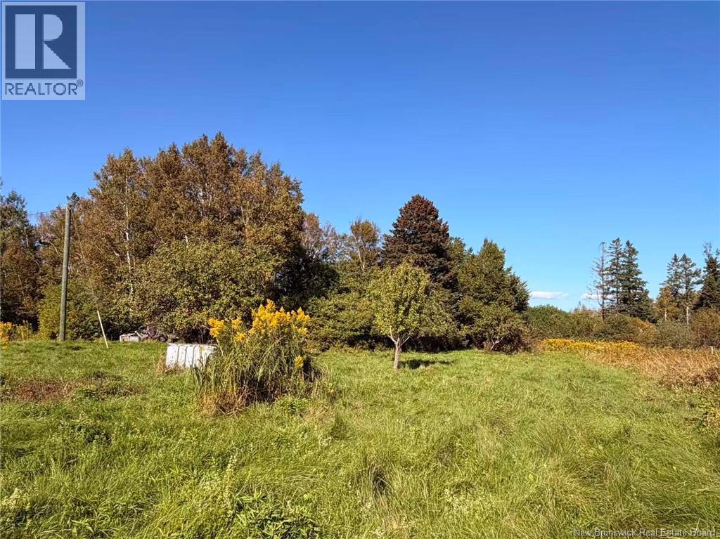 266 Murray Road, Little Shemogue, New Brunswick  E4M 3P3 - Photo 22 - NB146088