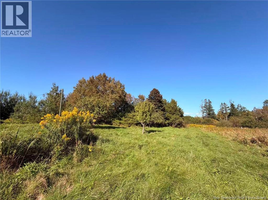 266 Murray Road, Little Shemogue, New Brunswick  E4M 3P3 - Photo 24 - NB146088